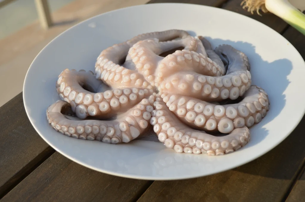 Oktopus zubereiten: Roh