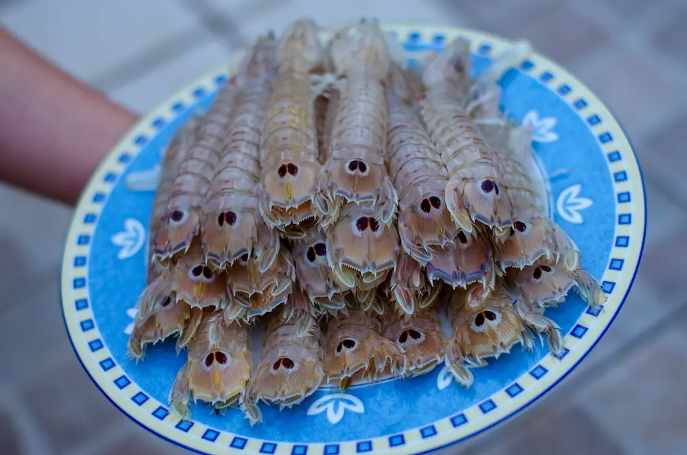 Pannocchie oder Cannocchie