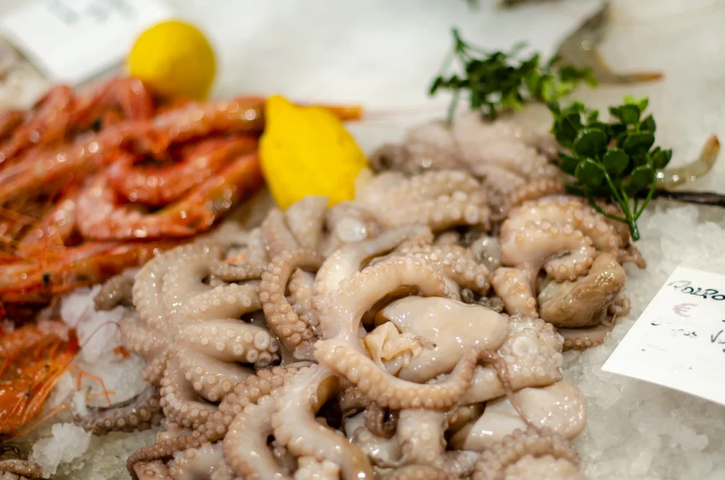 Gefrorenen Oktopus zubereiten