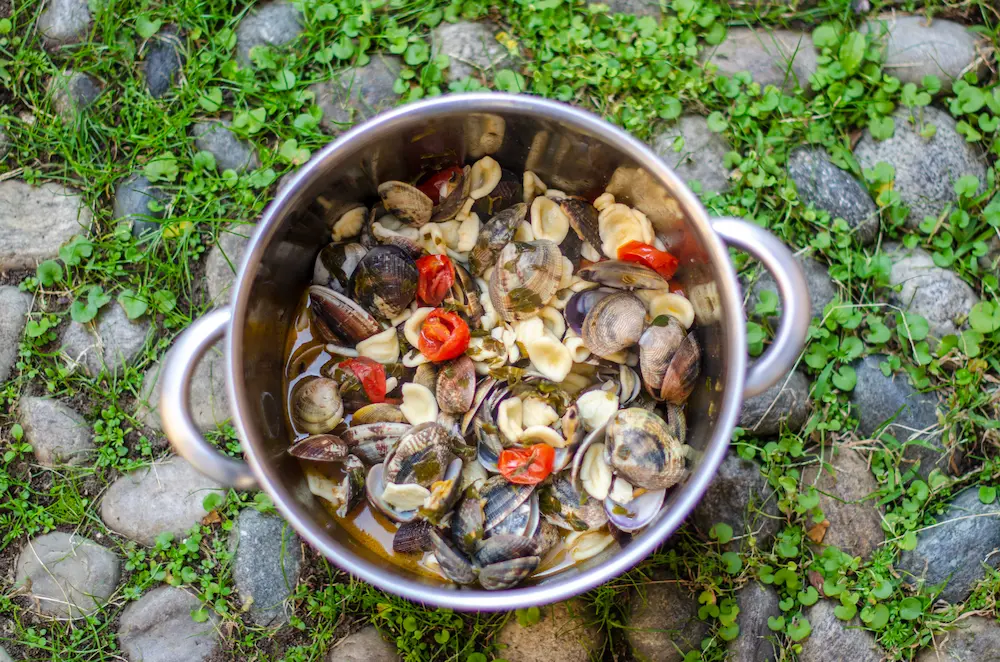 Orecchiette alle Vongole