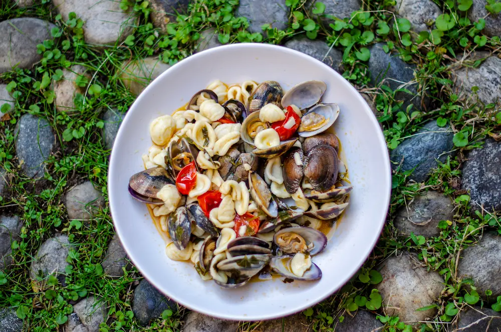 Orecchiette alle Vongole in Weißweinsoße: Ein Hauch von Meer