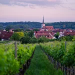 Weinfest Sommerach 2024