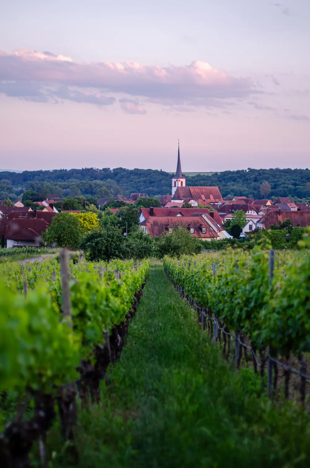 Sommerach Weinfest 2024: Das wunderbare Stadterlebnis durch Wein-Events