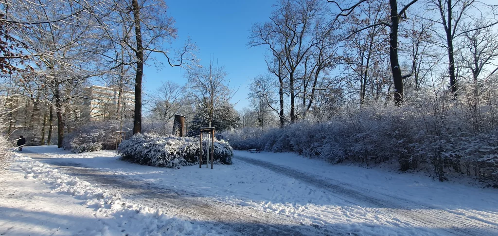 Gulaschsuppe im Winter
