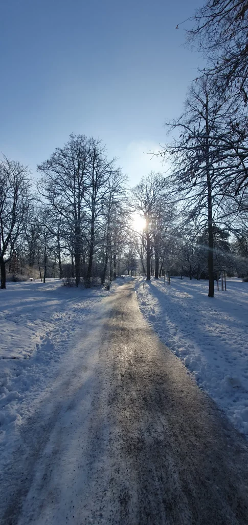Ukrainische Gulaschsuppe im Winter kochen